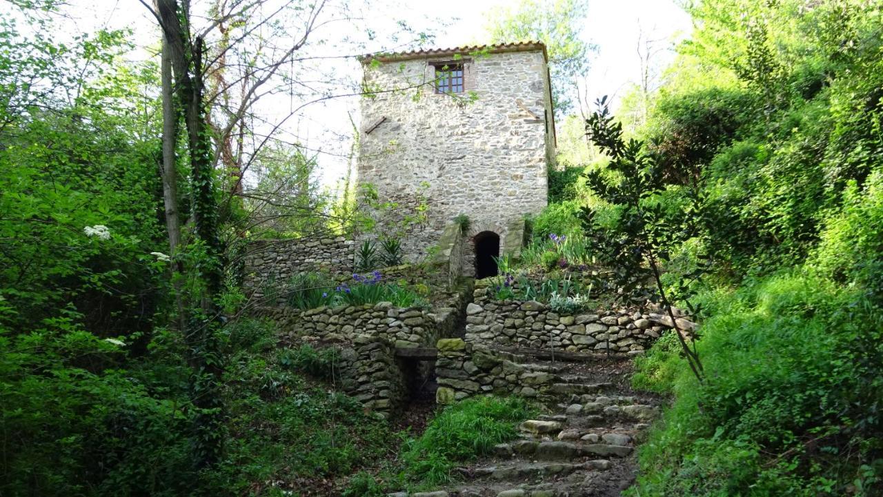 Gîte du Couchant Sorède Extérieur photo